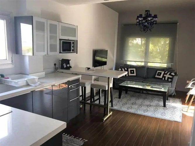 Deluxe Apartment