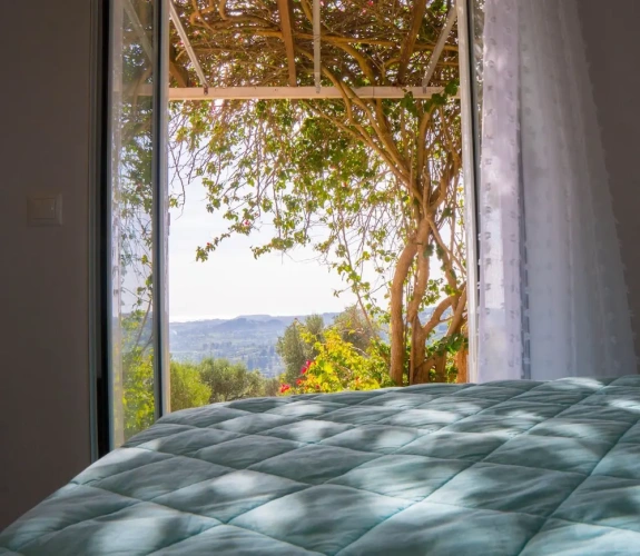 1 Bedroom Deluxe Double room with balcony and with sea view