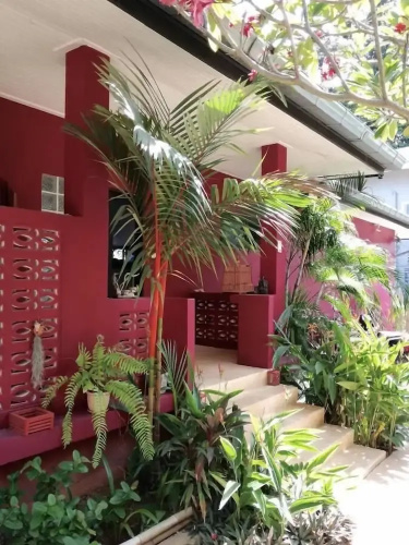 Pink House