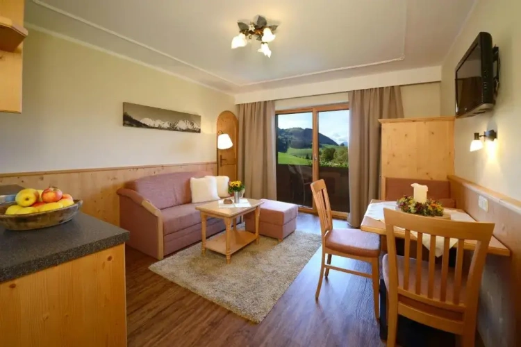 Comfort Apartment with mountain view