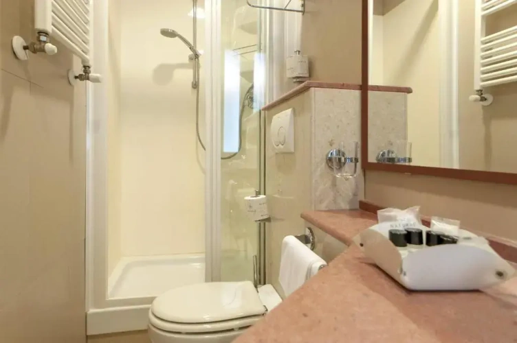 Standard Double room with balcony and with garden view