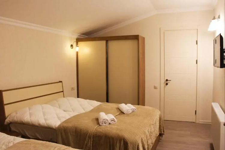 Mountain Villa Didveli