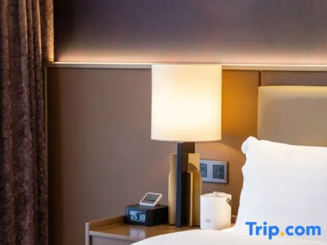 Executive Double Suite
