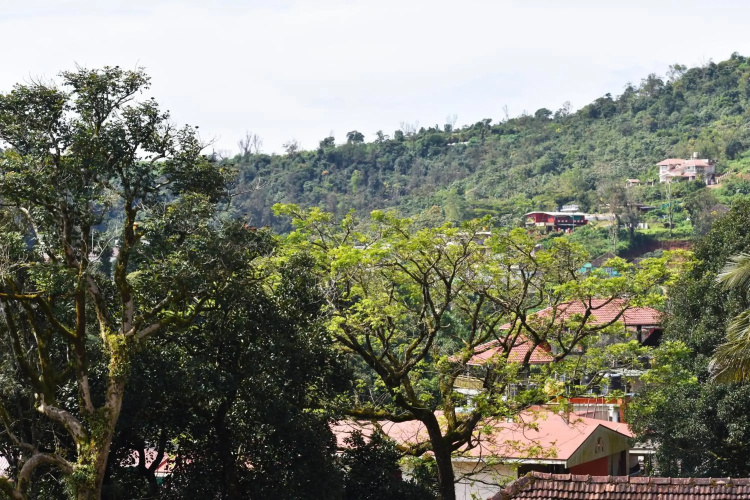 Srishti Homestay