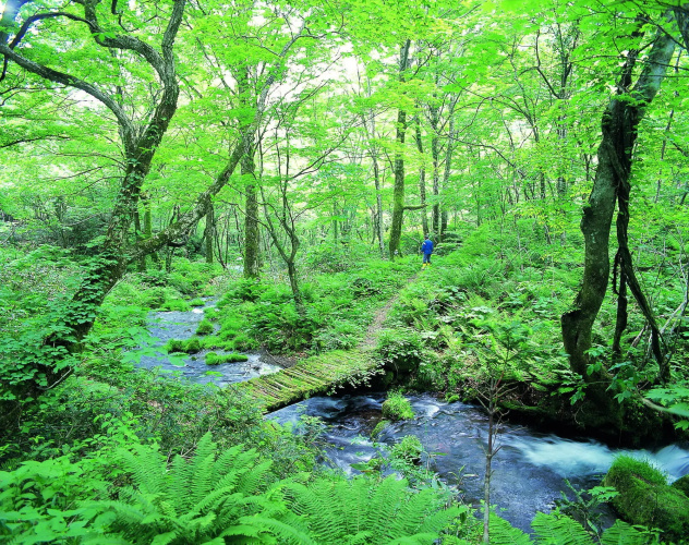Kyukamura Oku-Daisen