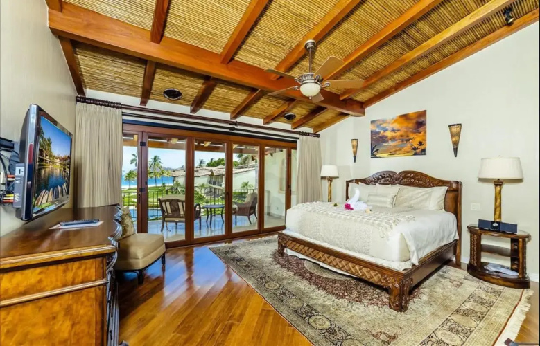 Palms 14
