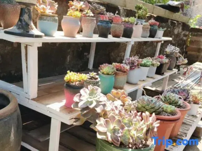 Weizhou Island Ximu Homestay