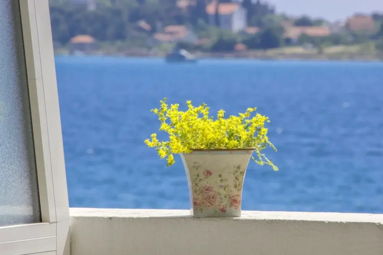 Vodice Lagom