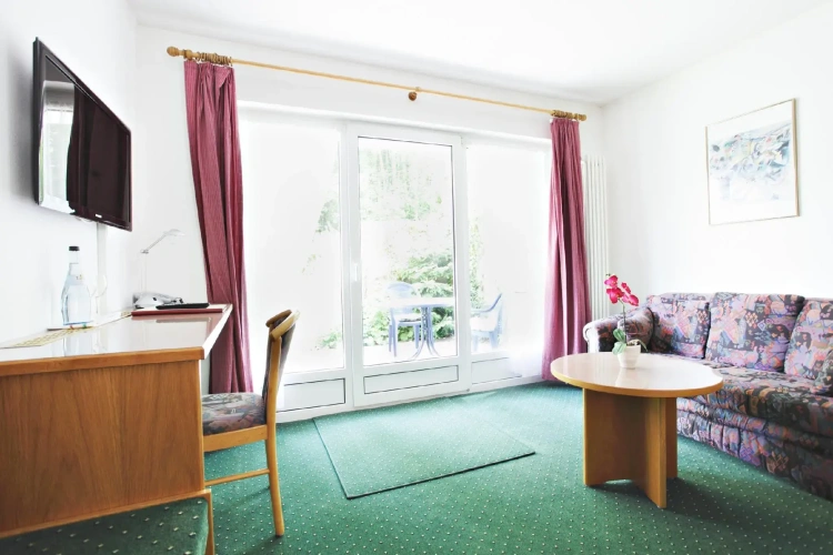 Standard Single room with balcony and with view