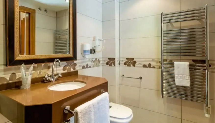 Hotel Flor de Neu
