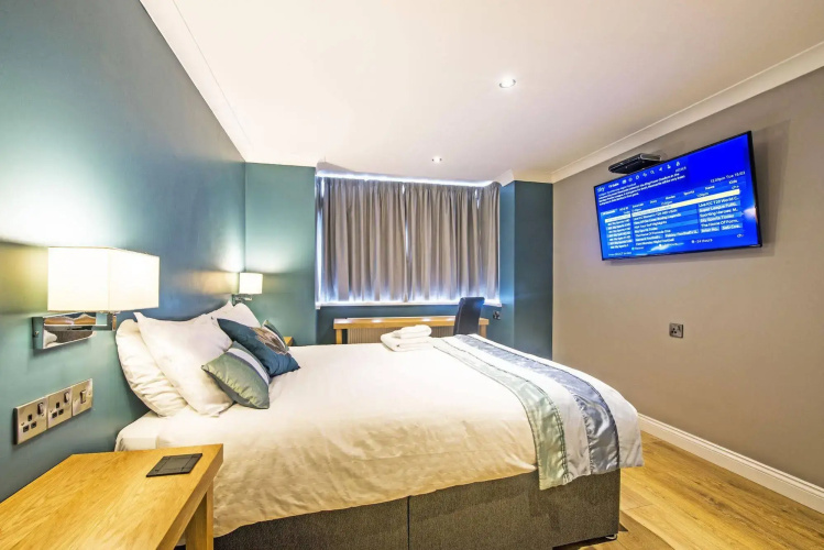 Dolphin Rooms