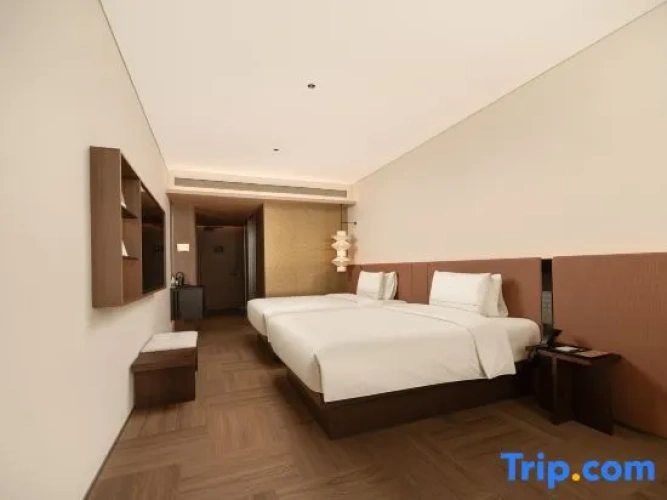 Executive Twin room with city view