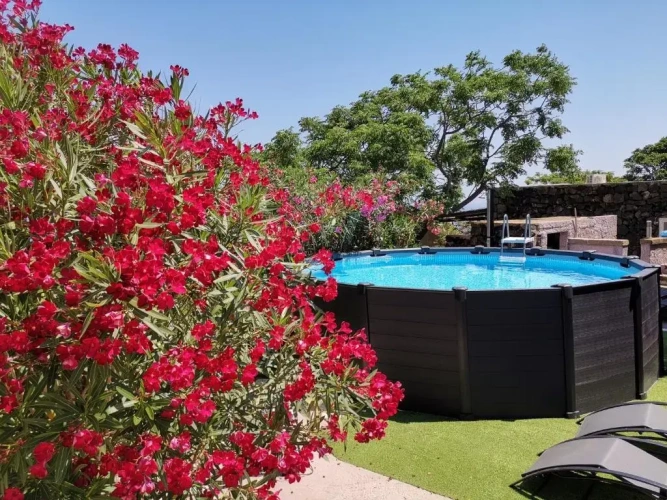 Apartment with garden view