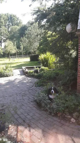 Achteropdehilde