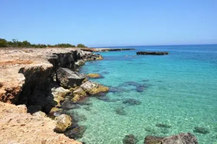 PalmaFlora villa con trulli