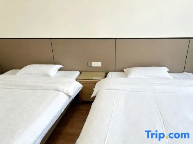 Luxury Twin room