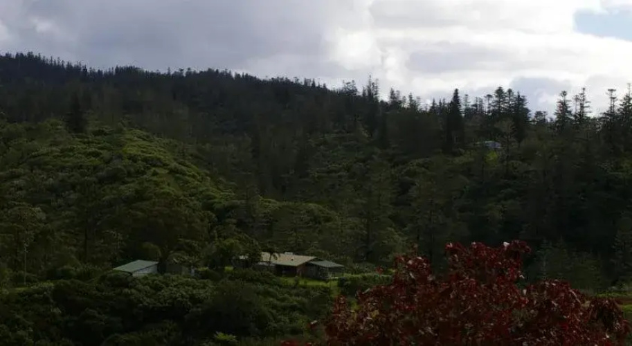 Callam Court Ocean View
