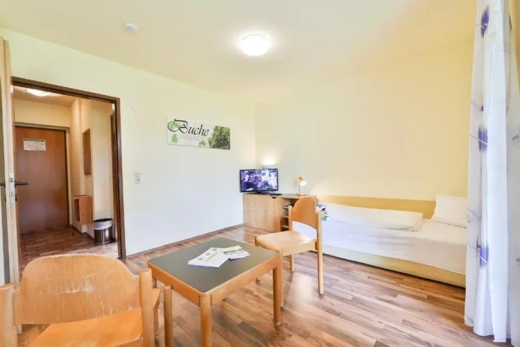 Studio with balcony and with lake view