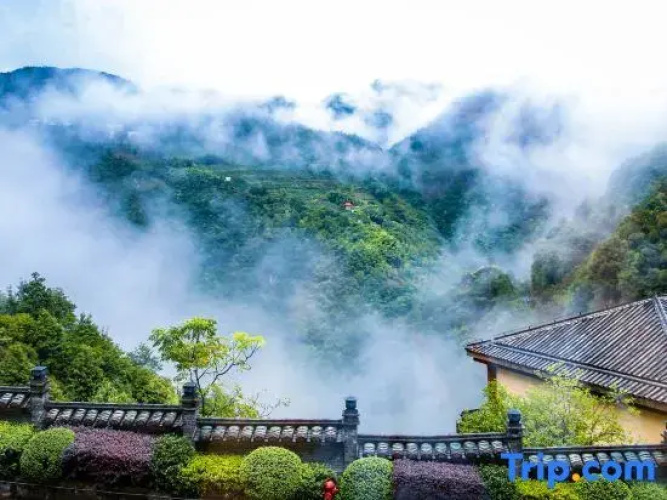 Yulongshan Dong Spring Resort