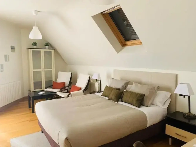 Standard Penthouse room