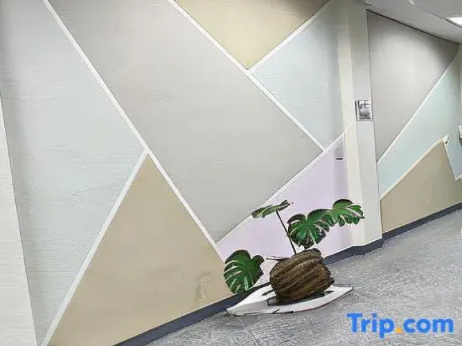 Second street Nest Hostel