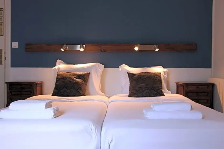 Standard Twin room with balcony and with view