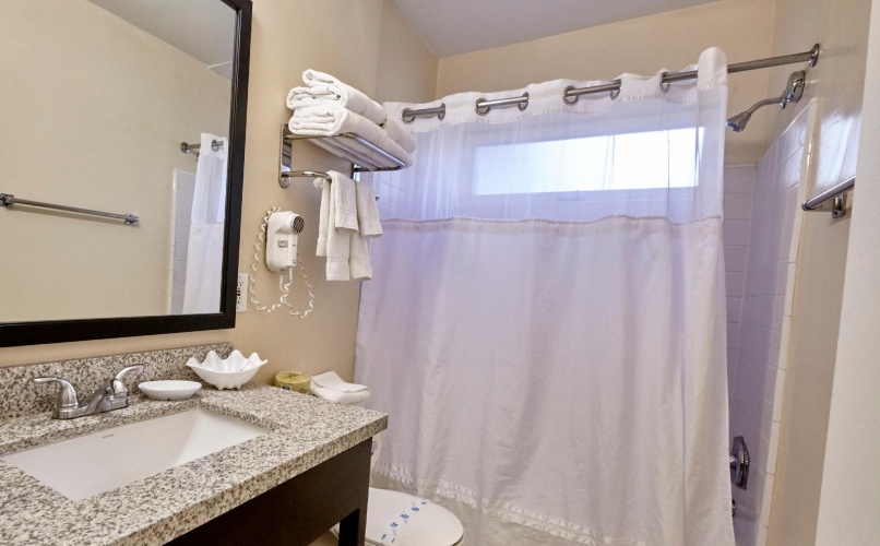 Executive Quadruple Suite