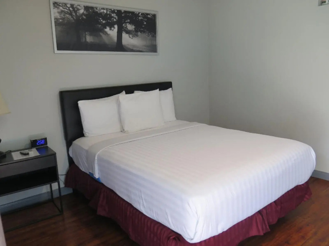 DTLA Hotel