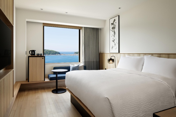 Standard Double room with ocean view