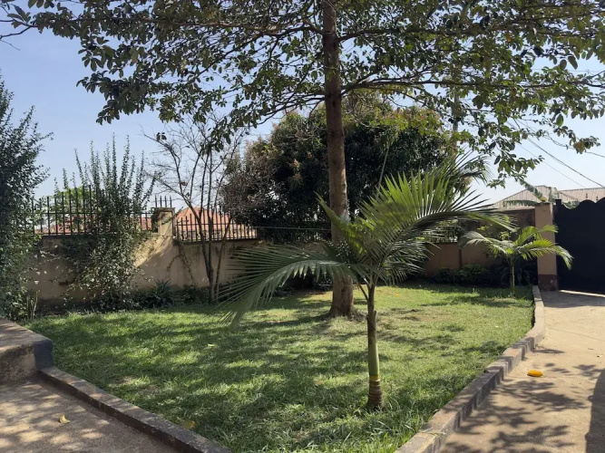 Olive Palm Suites Jinja