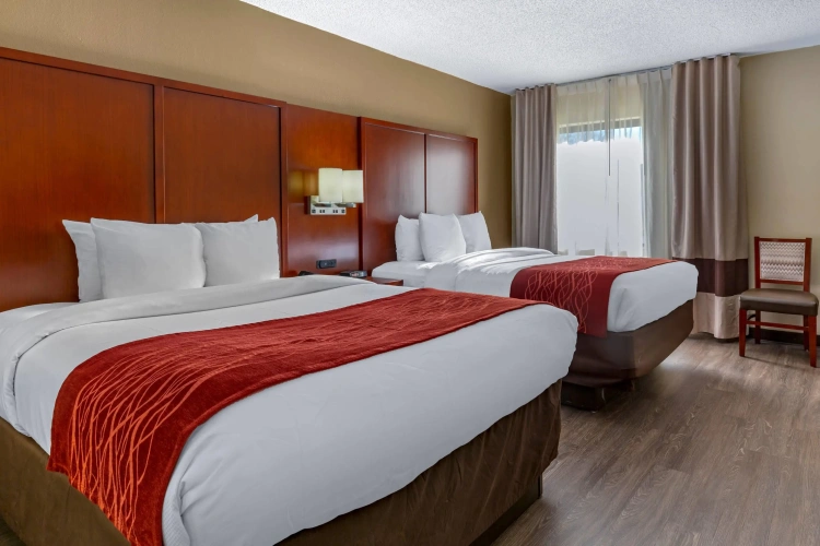 Standard Quadruple room