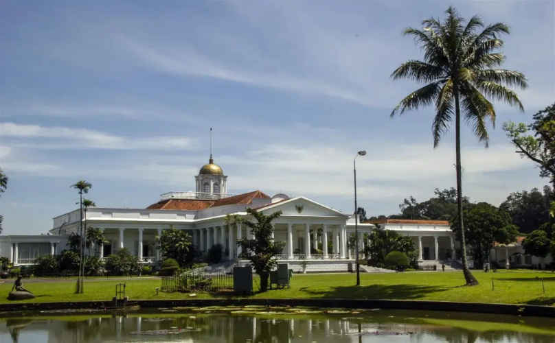 The Forest Resort Hotel