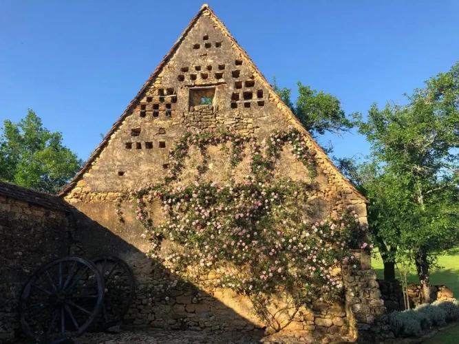 1 Bedroom Cottage