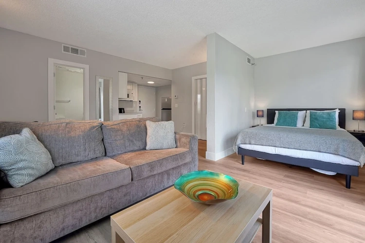 Double Basement Studio with balcony and with courtyard view