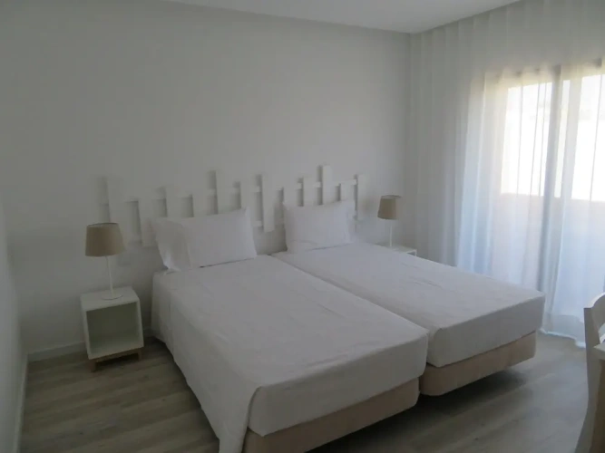 Deluxe Twin room with balcony and with garden view