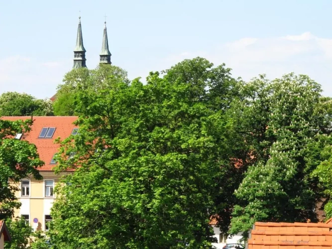 2 Bedrooms Duplex Apartment