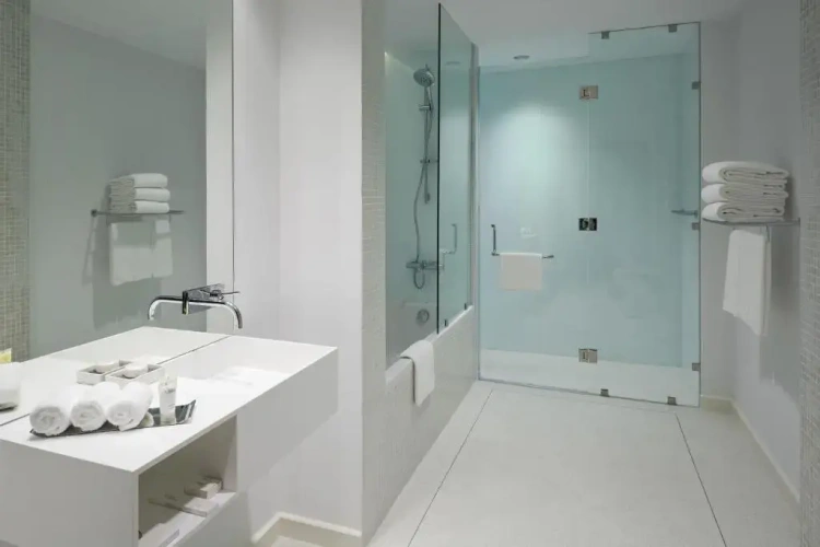 1 Bedroom Deluxe Suite with city view
