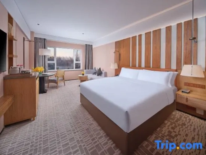 Deluxe Double Suite