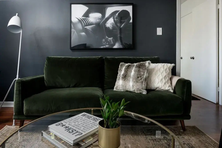 Charming 1Br in Plateau