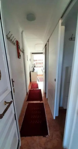 Teror 503