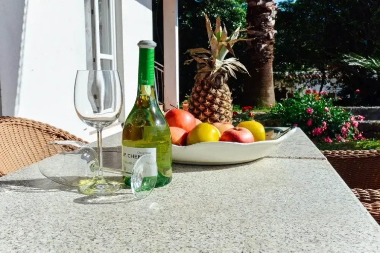 Waterfront Apartment Petrovina