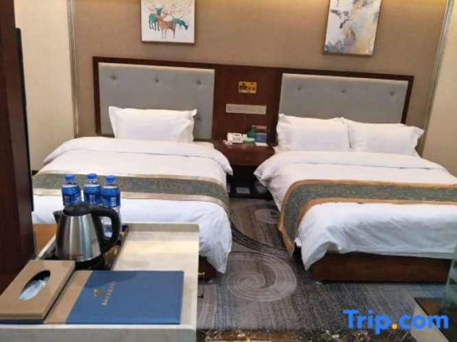 Economy Twin room