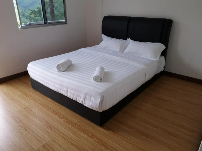 Standard Double room with mountain view