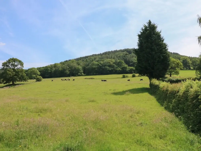 Lees Moor Cottage