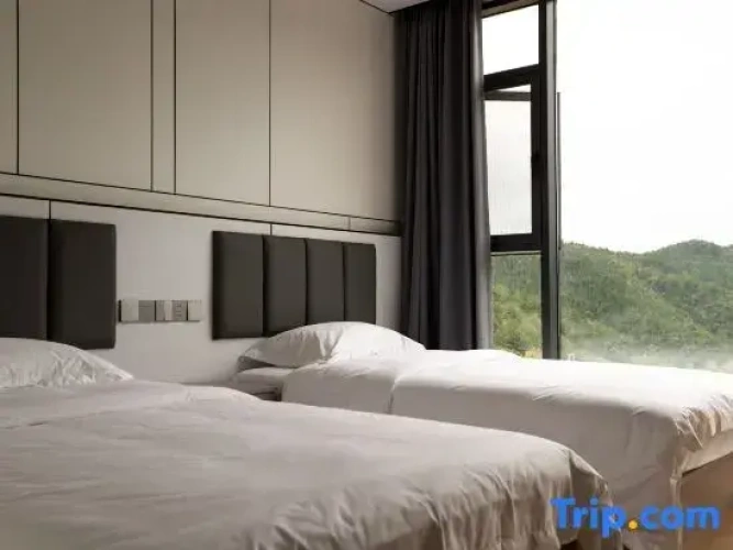 Standard Double room with view