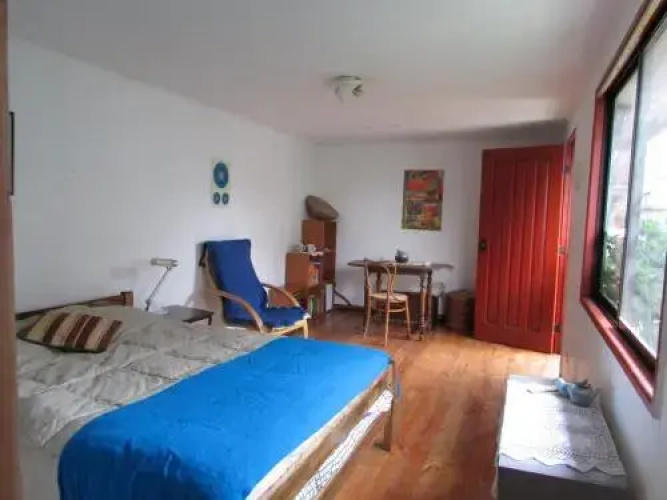 Habitación los aromos 245