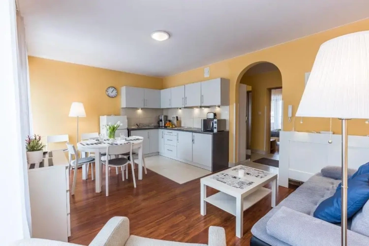 Deluxe Apartment