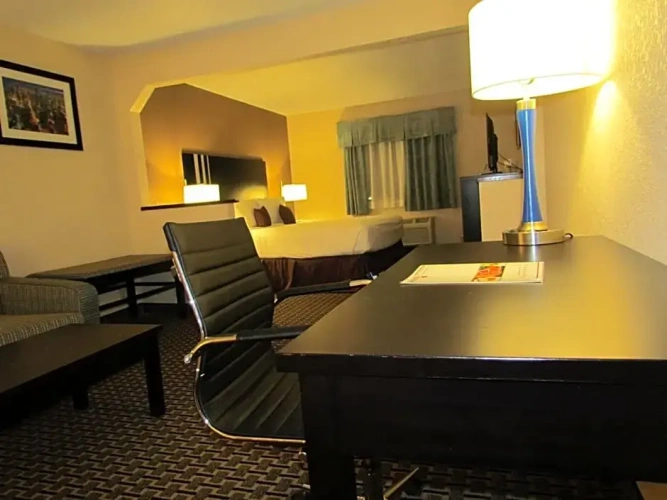 Luxury Suite