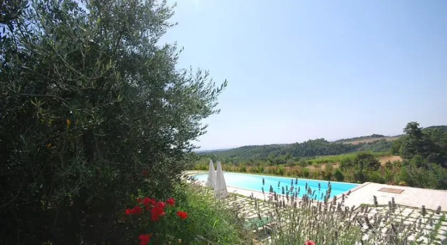 Lavanda