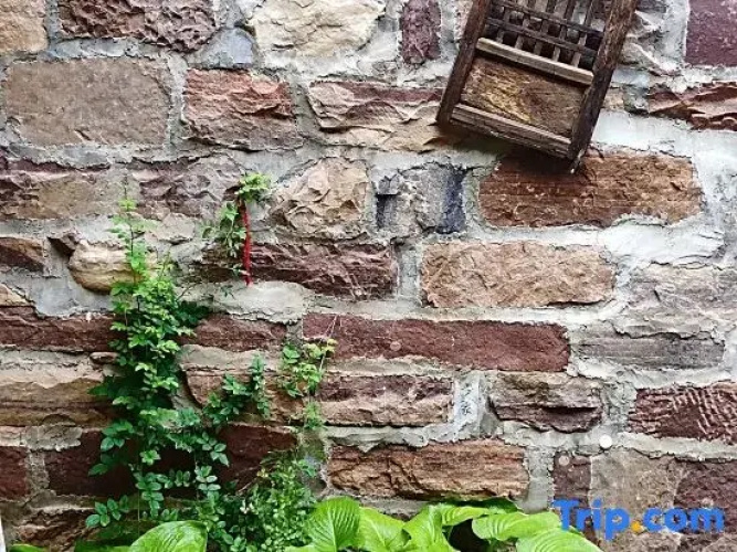 Linzhou Yishanju Farm Stay